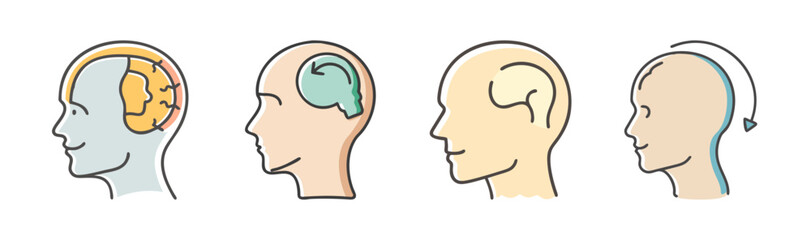 Exploring the intricate landscape of the human brain and its various cognitive functions
