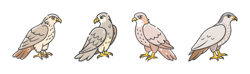 Collection of four distinct cartoon falcons with various feather patterns