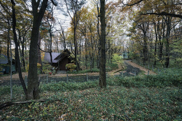 窓越しに見える美しい秋の風景