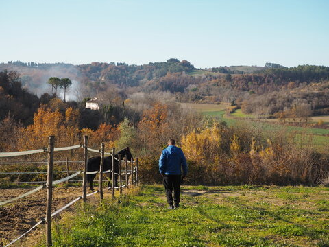 ragazzo cammina in campagna con cavallo nel paddock