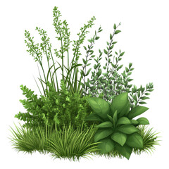 Different types of green plants and herbs are grouped together in a natural setting