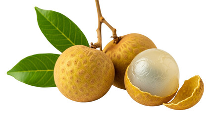 Three ripe longan fruits isolated on a transparent background