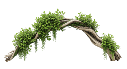 Whimsical driftwood arch with lush green vines and foliage isolated on a transparent background