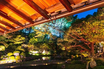 京都、青蓮院のライトアップ