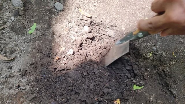 Shovel digging dark garden soil.