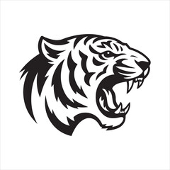 tiger head vector, tiger head vector. Isolated predator illustration