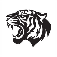 tiger head vector, tiger head vector. Isolated predator illustration