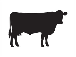 Silhouette cow livestock, farm logo. Cow graphic icon. Cow black silhouette vector isolated on white background. 