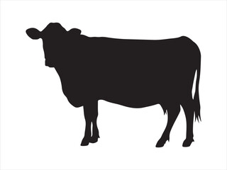 Silhouette cow livestock, farm logo. Cow graphic icon. Cow black silhouette vector isolated on white background. 