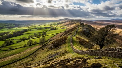 Rural Landscape with Rolling Hills and Trees.