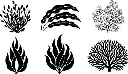 Set of six diverse black and white vector silhouettes depicting various stylized seaweed, aquatic plants, or unique brush and foliage elements for decorative organic design