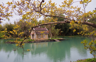 Swans house on the island on the pond in the garden.