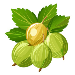 Fresh Gooseberries with Green Leaves Vector Illustration