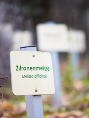 boards at a herb garden