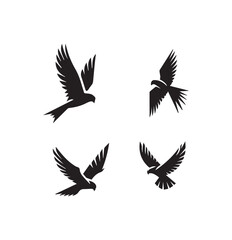 Falcon Diving Silhouette