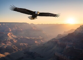 Naklejka premium An eagle soars over a canyon at sunrise, bathed in golden light
