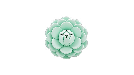 Mint Green Flower on White Background