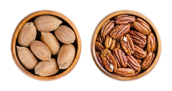 Pecans, in their shells and shelled nut halves, in wooden bowls. Dried, raw seeds and fruits of the pecan tree, Carya illinoinensis, on the left unshelled, and on the right shelled. Isolated. Photo