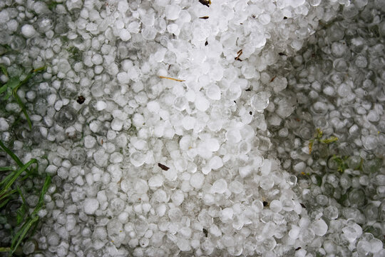 Hail on green green grass. Snow pellets on the ground. A violent, dangerous storm with hail.
