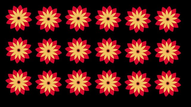 seamless floral pattern animation