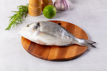 Raw fresh uncooked dorada fish