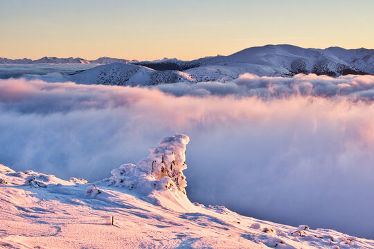 View of snow-covered mountain peak kissed by the sunrise, a sea of clouds rolling through the valleys, Kosarisko, Banska Bystrica region, Slovakia.