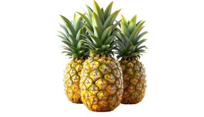 Three ripe pineapples, vibrant yellow, green crown, isolated on black