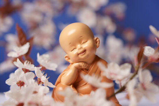 buddhistischer M&ouml;nch mit Kirschbl&uuml;ten