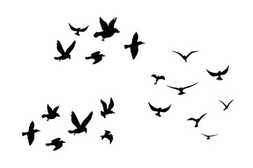 Fototapeta premium Flying flock of birds silhouette, Simple swallows in flight, crows in the sky. Group of birds border.