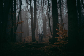 Fototapeta premium Forest trail leading to Borowa Peak in southern Poland