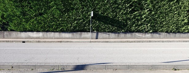 Blank street sign on concrete sidewalk at roadside. Fence with high unpruned hedge on behind, large road in front. Background for copy space.