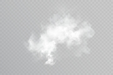 Fog, smoke, isolated realistic smoke texture effect on a transparent light background. Vector smoke, steam, and fog effects for design and illustrations © Valeriia