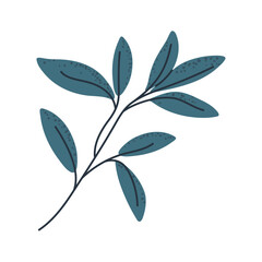 Single green branch illustration for home decor, botanical print, and nature designs.