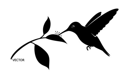 Fototapeta premium Minimalist Black and White Hummingbird Icon Displaying Elegance and Nature Simplicity in Artistic