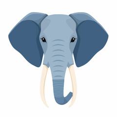 Obraz premium Stylized elephant head with ivory tusks and large ears isolated on white