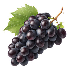 Dark Grapes Cluster Isolated on Transparent Background PNG