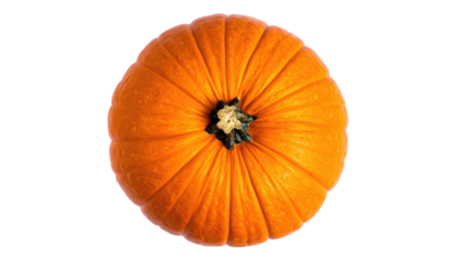 Upward view of round, orange pumpkin against a black background