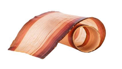 Rolled slice of crispy bacon isolated on transparent background