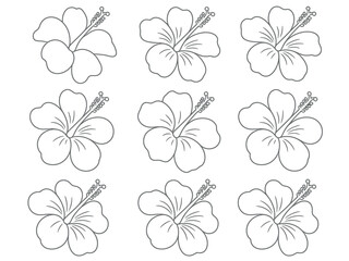 Line Drawing of Multiple Hibiscus Flowers on White Background