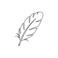 Obraz premium Elegant feather illustration in white with detailed outlines on transparent background