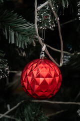 Festive Bauble: A radiant red ornament, adorned with a geometric pattern, glistens gracefully amidst the lush, dark green foliage of a Christmas tree.