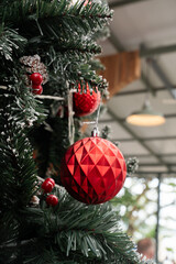 Holiday Cheer on Display: A close-up showcases a beautifully adorned evergreen tree, its branches adorned with vibrant red ornaments, ready to spread seasonal joy.