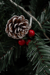 Christmas Evergreen Delight: A close-up shot captures the festive spirit of a Christmas evergreen branch, adorned with a frosted pinecone and vibrant red berries, evoking holiday warmth and cheer.