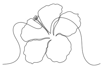 Hibiscus flower icon simple outline single line art illustration isolated © farzana