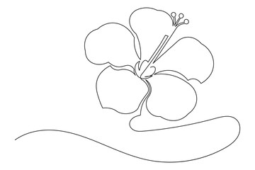 Simple outline illustration of a blooming flower continuous single line © farzana