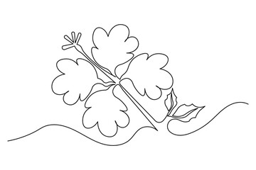 Minimalist style hibiscus illustration continuous line drawing isolated © farzana