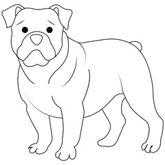 American bulldog