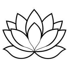 lotus flower vector