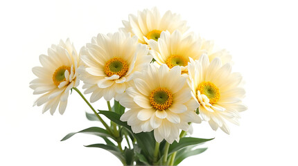 Obraz premium White Daisy Bouquet
