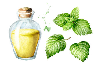Fresh mint or spearmint leaves and essential oil set. Watercolor hand drawn illustration isolated on white background